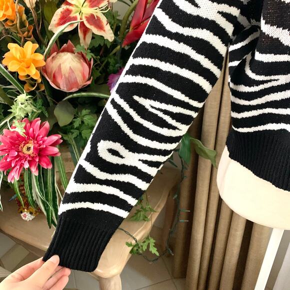 Zara Pizza Zebra Stripe Jacquard Knit Sweater - Picture 8 of 13
